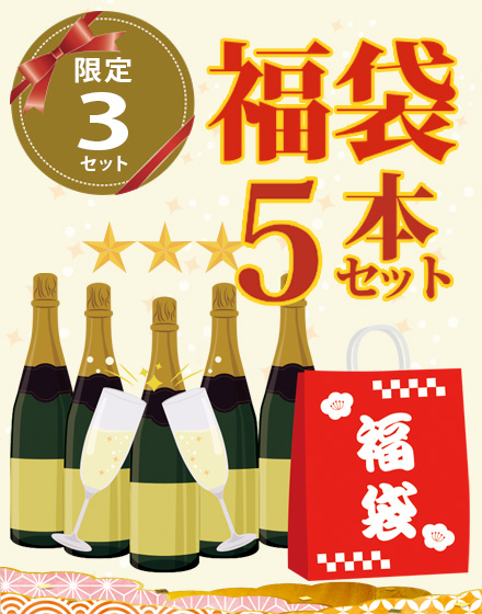 2025年福袋　3つ星メゾンのシャンパン入り！極上シャンパン5本セット【送料無料】