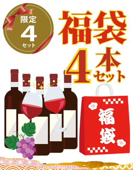 2025年福袋　濃厚！高評価のしっかり赤ワイン4本セット【送料無料】